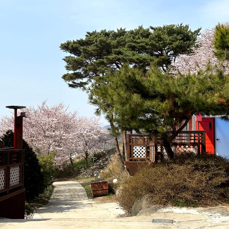 해담 갤러리 11