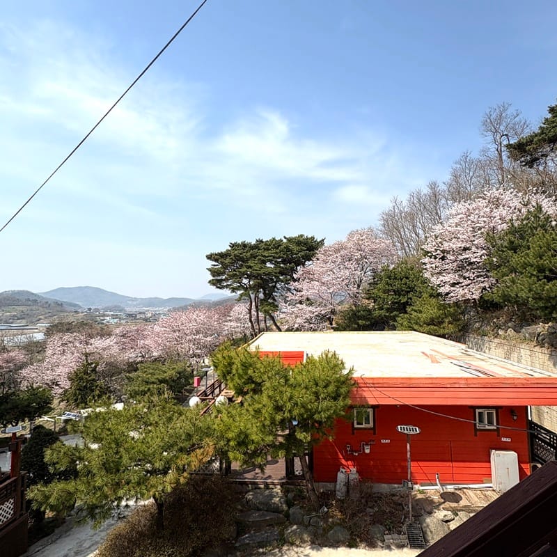 해담 갤러리 9