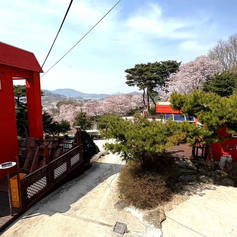 해담 갤러리 10